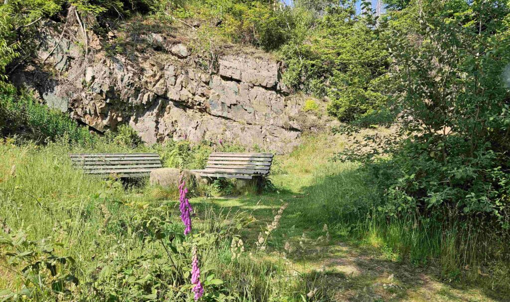 Rückweg über Tiefe Kohlstelle