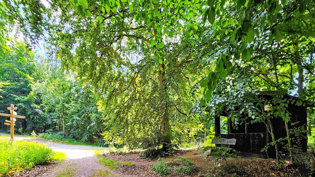 Wegkreuzung Säperstelle mit Schutzhütte