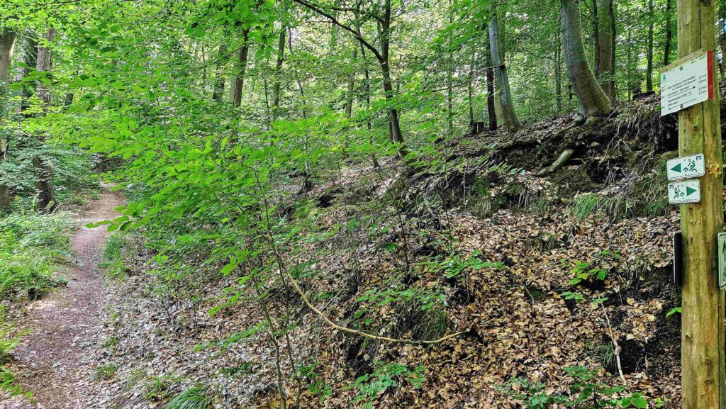 Zum Elfenstein III