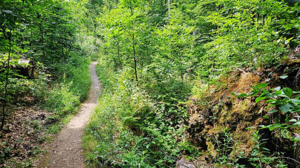 Zum Elfenstein IV